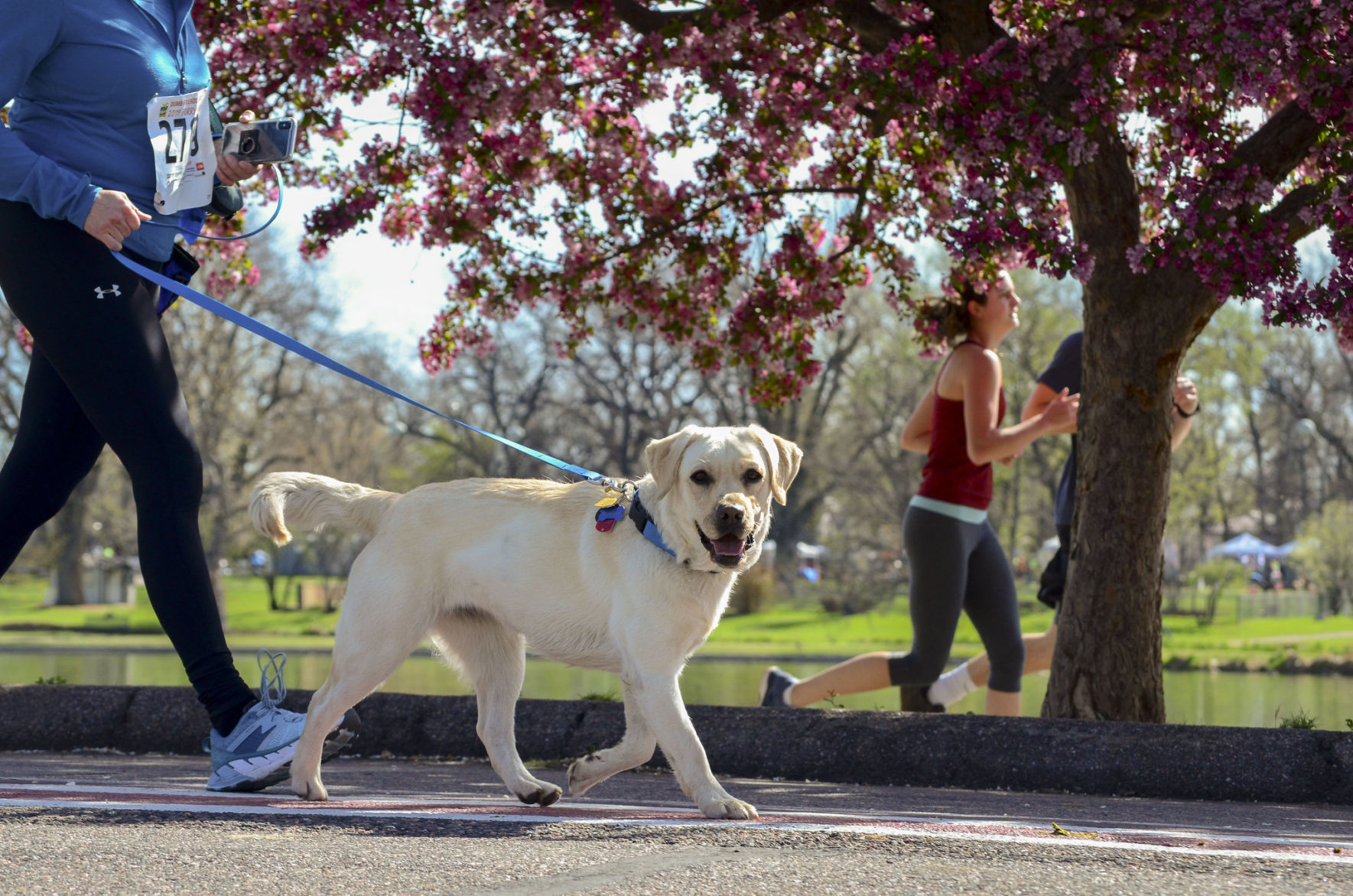 Paws in the Park